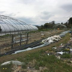 農業用ビニールハウスの組立、解体、修理、新設行います。全国対応可能！ - その他