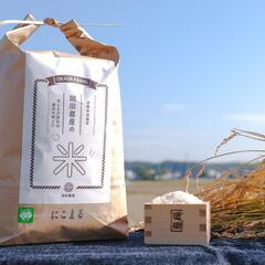 減農薬、減化学肥料で作った新米（白米10kg)