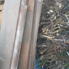 無料のキャンプ用薪  の画像