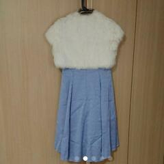 フォーマルドレスとファーボレロの画像