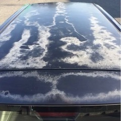 希少 ワンオーナー ５ＭＴ 3.1千km 平成17年車 トヨタ プロボックス ワゴンの画像