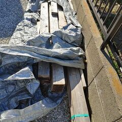 エコアコールウッド　建材　建築資材　杉　スギ　
