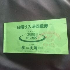 丸駒温泉旅館　日帰り入浴回数券 7枚