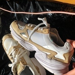 【24.0cm】adidas Originals Falcon の画像