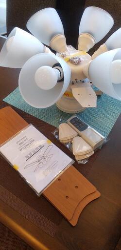 6灯 薄型 Windouble（6-lights）ウィンダブル ライフオンプロダクツ製シーリングファンライト41112