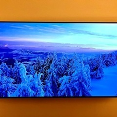 LG 有機テレビ　EG C7 55インチ　
