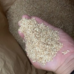 令和3年！新米！鳥取県産くず米玄米 150kg以上規格外品　飼料...