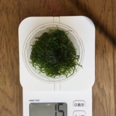 水草（ウィローモス）の画像