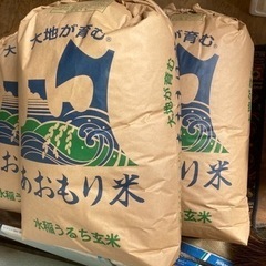 まっしぐら‼️値下げ中‼️（今日削除）お早めに‼️
