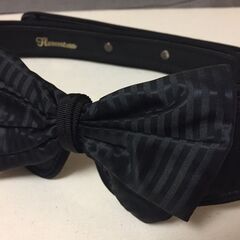 ベルト　flammeum