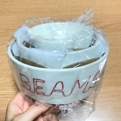 BEAMS  レンジパック（保存容器） セット