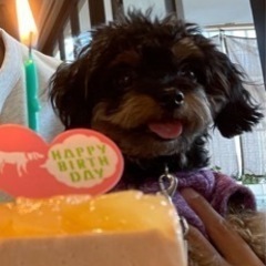お散歩行きましょ🐕‍🦺✨
