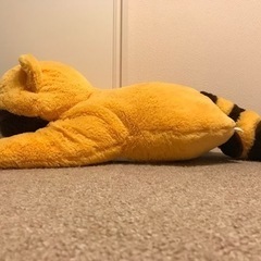 ぬいぐるみの画像