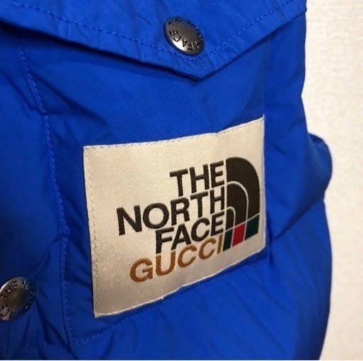 【新品未使用】GUCCI ✖️ North Face ダウンベスト