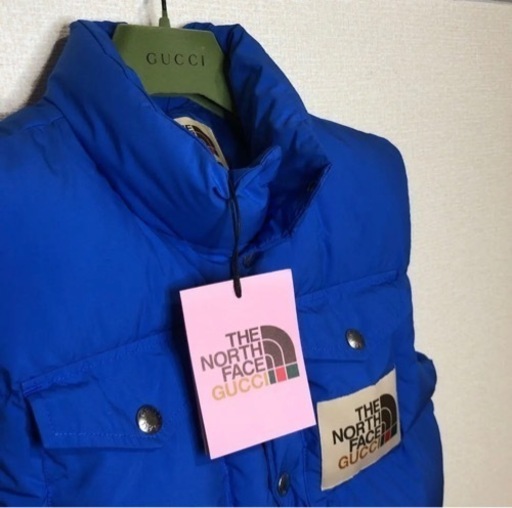 【新品未使用】GUCCI ✖️ North Face ダウンベスト
