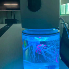 LED加湿器の画像