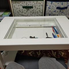 テーブル　白
