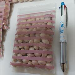 ぎんなん100㌘単位で 小分けします 茶碗蒸し 銀杏ﾊﾟﾝ 銀杏ご飯