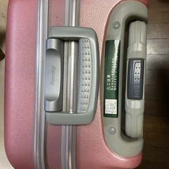 キャリーバッグの画像