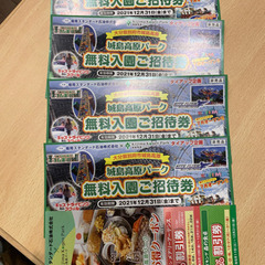 城島高原パーク　入園チケット