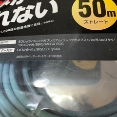 (受渡先決定)laneed LANケーブル　スタンダード高速　50m の画像