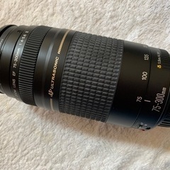 Canon EFレンズ EF75-300mm