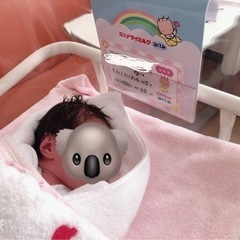 初めまして！