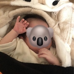 先日
