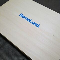 【ボーネルンド】オリジナル積み木　カラーの画像