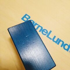 【ボーネルンド】オリジナル積み木　カラーの画像