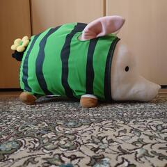 プーギー③の画像