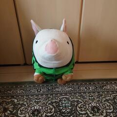 プーギー③の画像