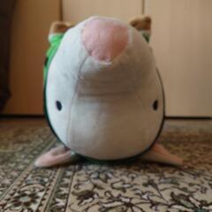 プーギー③の画像