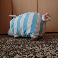 プーギー①の画像