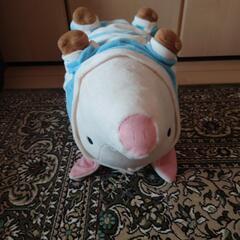 プーギー①の画像