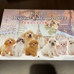 コジマ　2022年カレンダー　まだあります