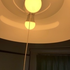 ニトリ　照明器具の画像