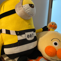 決まりました⭐︎ミニオンのみの画像