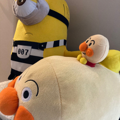 決まりました⭐︎ミニオンのみの画像