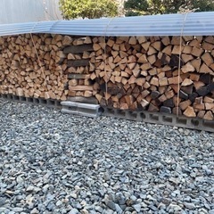 最終値下げ 薪(樫) 1年半乾燥