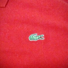 美品 LACOSTE ポロシャツ① レッド の画像