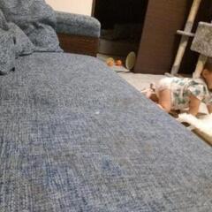 再掲載！収納付き☆ソファーベッドの画像