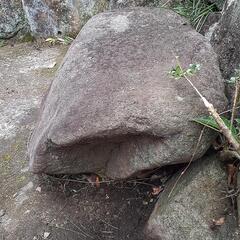 庭石の画像
