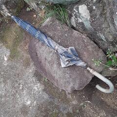 庭石の画像