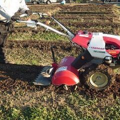 【さあ!秋野菜だ!】畑貸します!岡崎市樫山町に400平方メ…