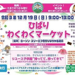 遊びに来てね❗