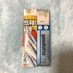 サヨリとキス