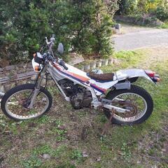 TLR250R 