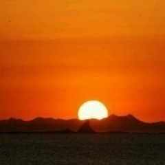 アラ還友達募集中します！