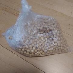 塩500g 乾燥大豆500g 洗剤　スプレーの画像